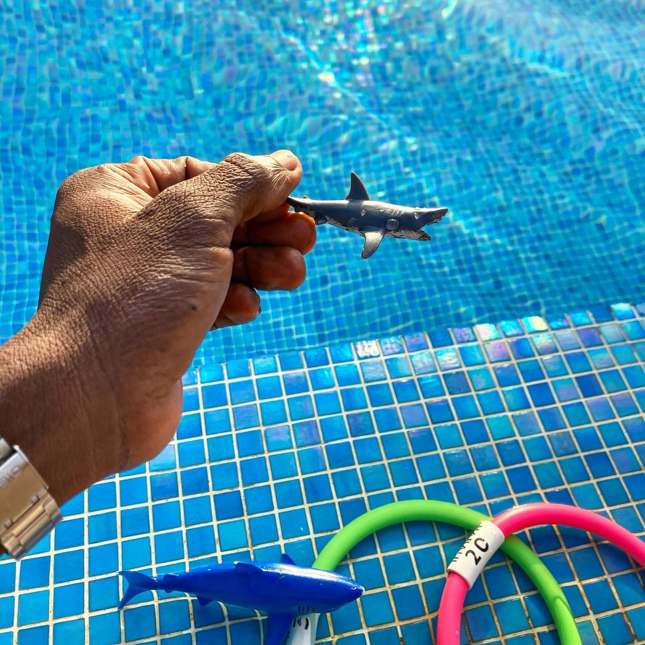 hand fish