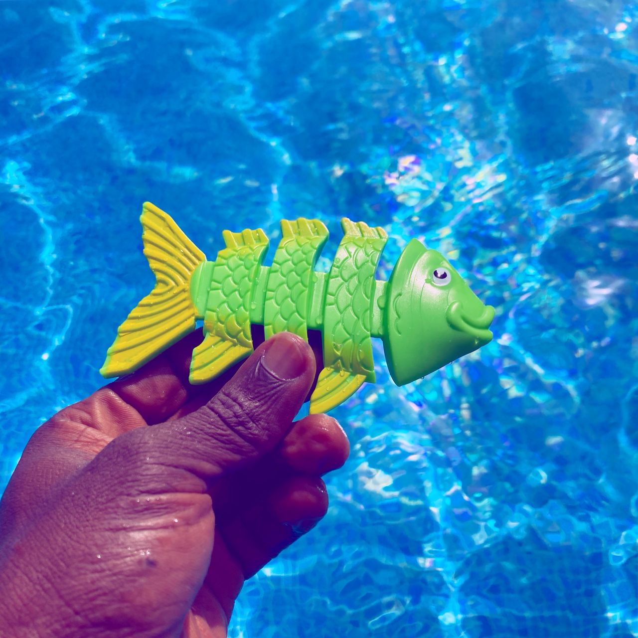 ifish